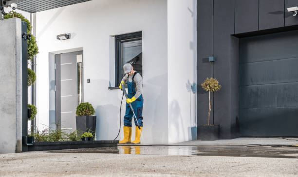 Best Window and Screen Pressure Cleaning in Cerro Gordo, IL